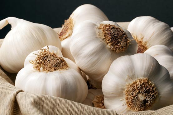 تصویر 3 از فروش سیر خشک سفید + قیمت خرید به صرفه